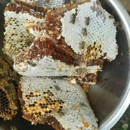 来自云南国家一级生态自然保护区的大森林野蜂蜜